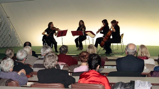 Concierto humanitario en Francia por las víctimas vietnamitas del agente naranja - ảnh 1