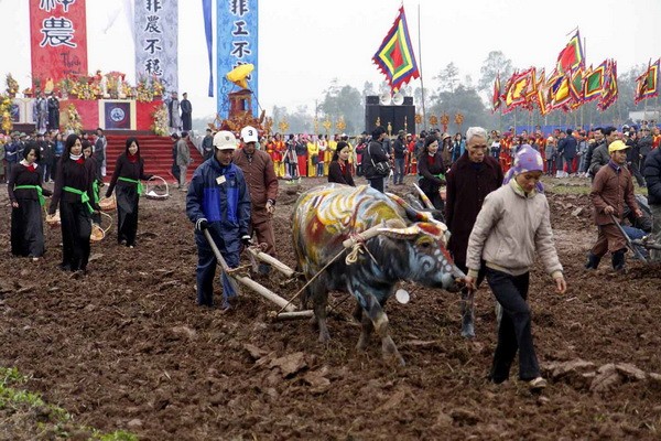 Celebran en Vietnam efervescentes fiestas primaverales  - ảnh 1