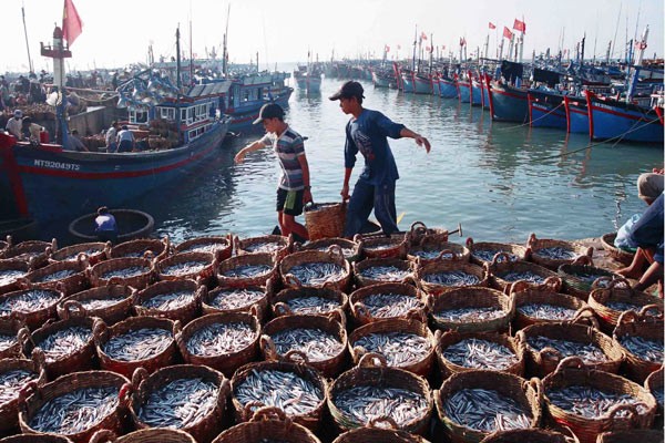 Vietnam aboga por el desarrollo sostenible en el mar y las islas nacionales - ảnh 2