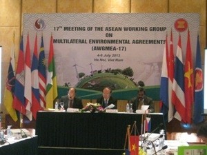 Vietnam, junto con naciones de ASEAN, aboga por protección ambiental - ảnh 1