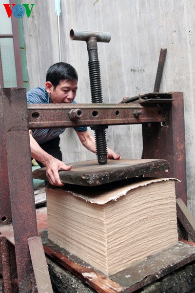 El papel de papiro goza de vida y salud en Vietnam - ảnh 6