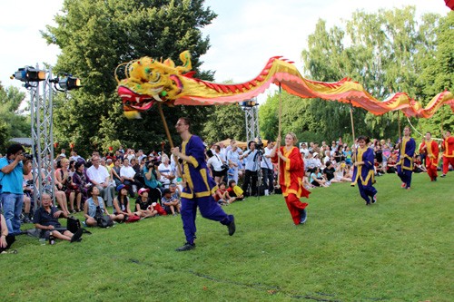 Fiesta cultural de Vietnam en Alemania - ảnh 1