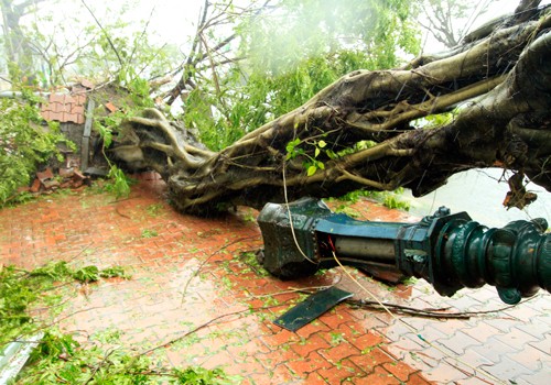 Tormenta Nari azota zonas costeras centrales de Vietnam - ảnh 3