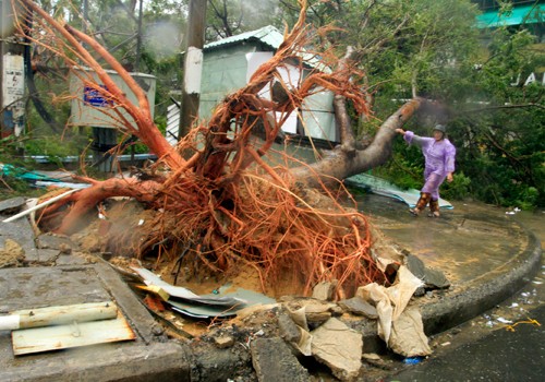 Tormenta Nari azota zonas costeras centrales de Vietnam - ảnh 4