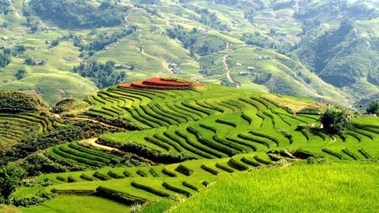 Celebrará aniversario 110 de turismo en Sapa, norte de Vietnam - ảnh 1