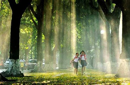 Belleza milenaria de Hanoi - ảnh 9