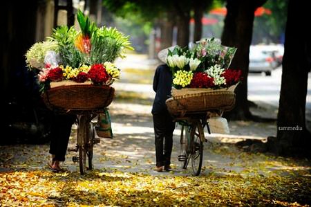 Belleza milenaria de Hanoi - ảnh 12