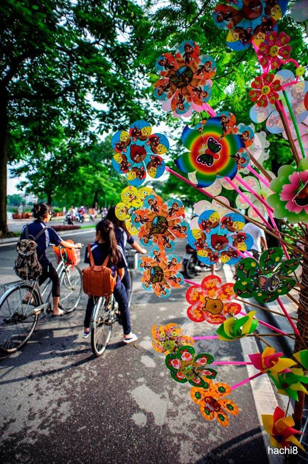 Hanoi en los últimos días del otoño  - ảnh 12