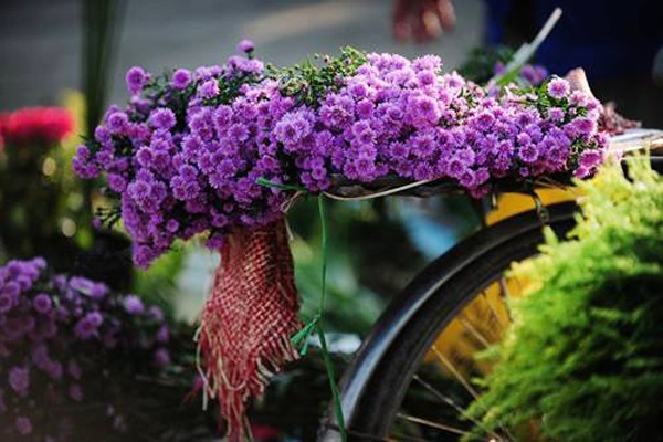 Hanoi en los últimos días del otoño  - ảnh 5