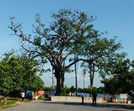 Transformaciones en área rural de Hai Duong - ảnh 1