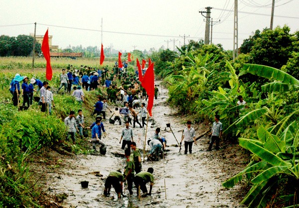 Jóvenes de Bac Ninh en la construcción del nuevo campo  - ảnh 1