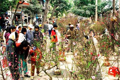 Hanoi se prepara para satisfacer a su población en la festividad del Tet - ảnh 1