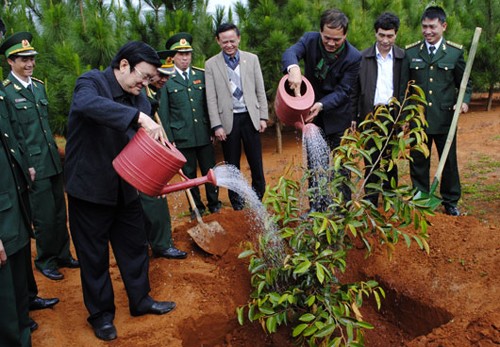 Presidente de Vietnam orienta construcción de nuevo campo en provincia de Dak Nong - ảnh 1