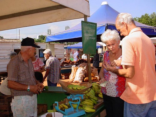 Nuevas transformaciones económicas en Cuba - ảnh 2