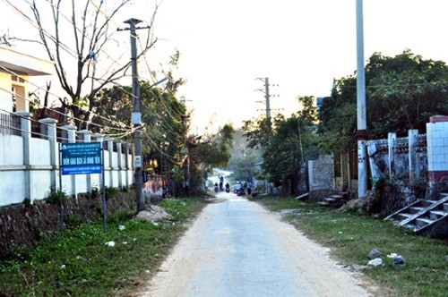 Distrito isleño de Co To: ejemplo destacado en edificación de nuevo campo - ảnh 3