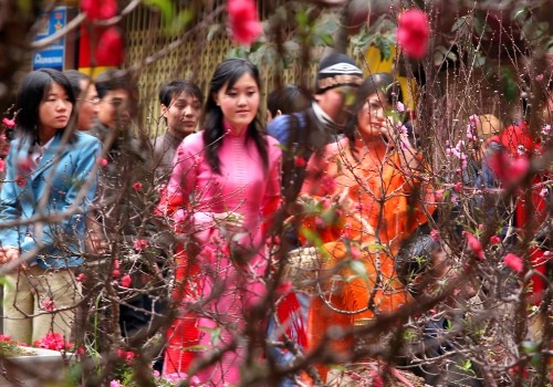 Concurridos mercados de flores de Hanoi  - ảnh 1