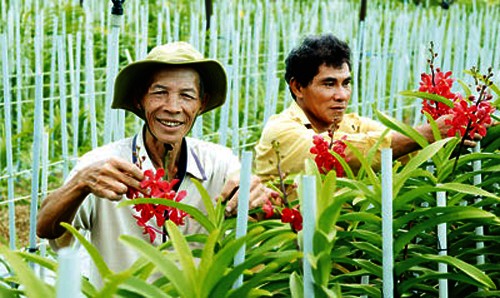 Iniciales logros en construcción de nuevo campo en Ciudad Ho Chi Minh - ảnh 2