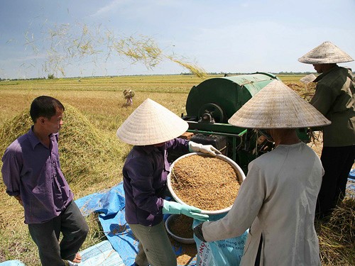 Iniciales logros en construcción de nuevo campo en Ciudad Ho Chi Minh - ảnh 3