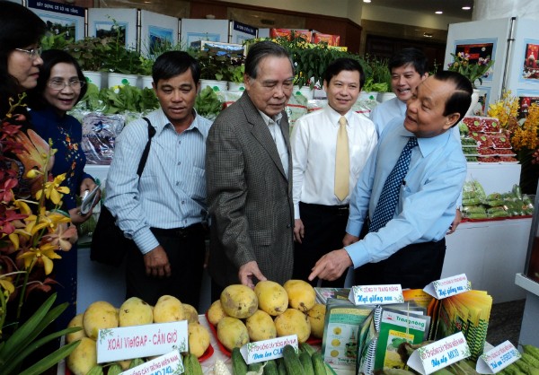 Iniciales logros en construcción de nuevo campo en Ciudad Ho Chi Minh - ảnh 1