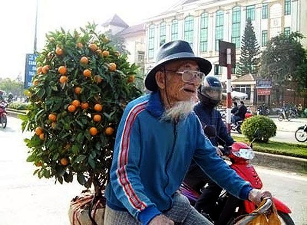 Ambiente del Tet en mercado de flores de Quang An - ảnh 2