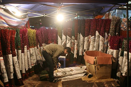 Ambiente del Tet en mercado de flores de Quang An - ảnh 1