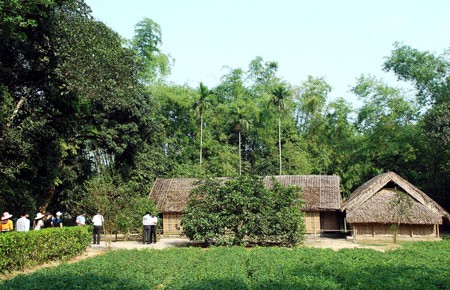 Dirigentes locales de provincia de Nghe An en homenaje póstumo al tío Ho - ảnh 1