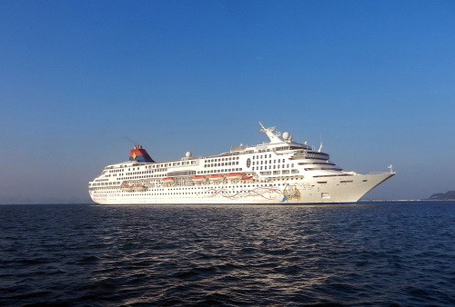 Puerto de Da Nang recibe primer barco turístico del Año Nuevo Lunar del Caballo - ảnh 1