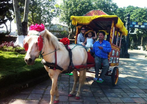 Localidades vietnamitas en saludo al Año Nuevo Lunar del Caballo 2014 - ảnh 1