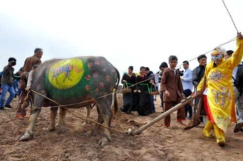 Celebran fiesta milenaria de “tịch điền”, por el inicio de los cultivos del año - ảnh 4