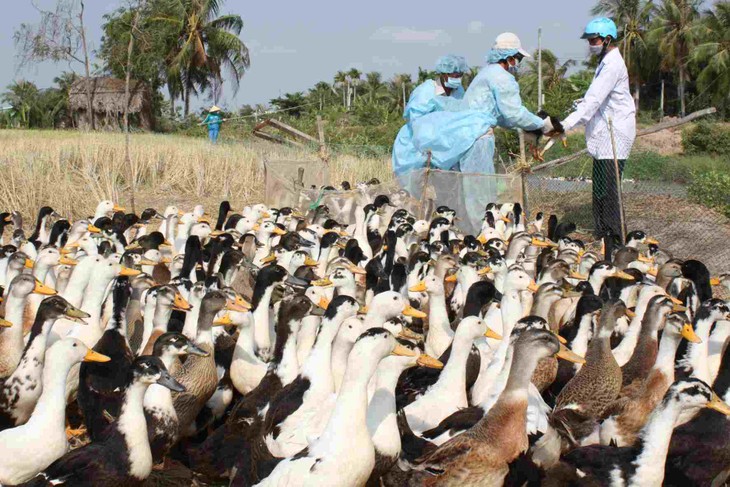 Organizaciones internacionales apoyan a Vietnam en enfrentamiento a epidemias - ảnh 1