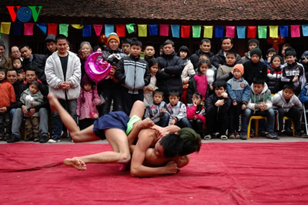 Festival de lucha en la aldea de Mai Dong, Hanoi - ảnh 3