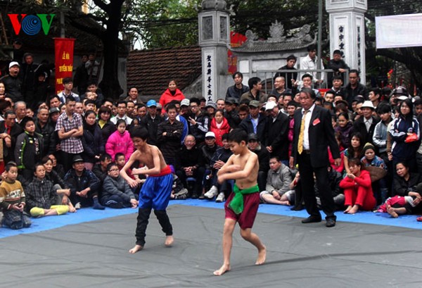 Festival de lucha en la aldea de Mai Dong, Hanoi - ảnh 2