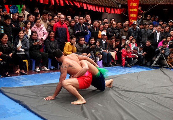 Festival de lucha en la aldea de Mai Dong, Hanoi - ảnh 5