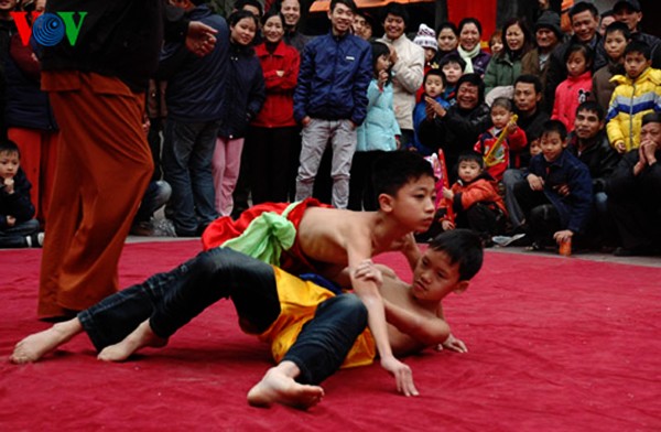 Festival de lucha en la aldea de Mai Dong, Hanoi - ảnh 1