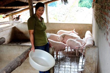 Impulsa provincia de Bac Kan reducción de la pobreza - ảnh 1