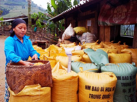 Impulsa provincia de Bac Kan reducción de la pobreza - ảnh 4