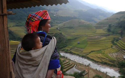 Nivel agrícola admirable de étnicos vietnamitas - ảnh 3