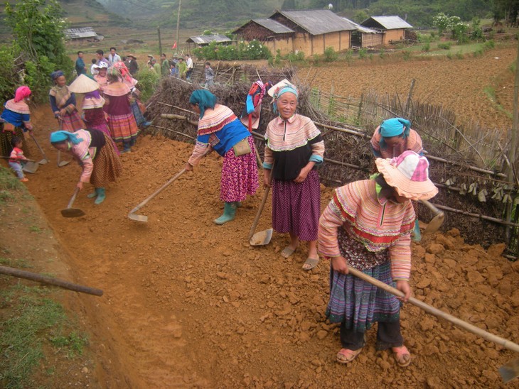 Promueven solidaridad en construcción de nuevo campo en comuna de Na Hoi - ảnh 2