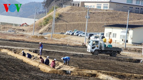 Resurrección de tierra muerta Rikuzen Takata en Japón - ảnh 1