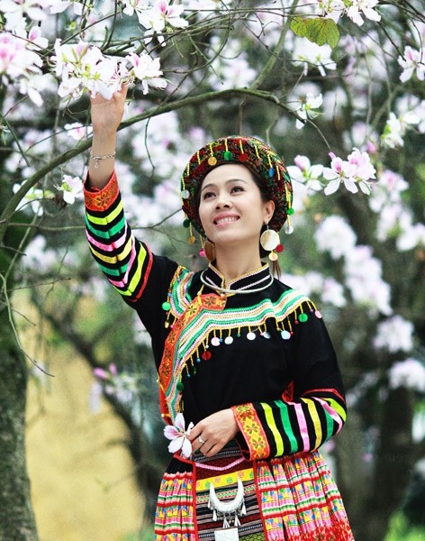 Apasionante fiesta de las flores de bauhinias en Dien Bien - ảnh 2