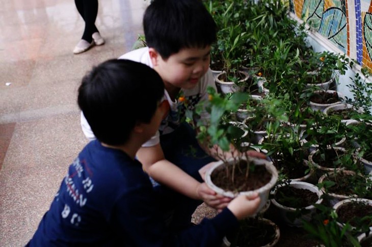 Jóvenes capitalinos se dan las manos por un planeta más verde - ảnh 7