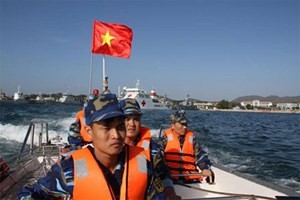 Participan 17 países en ejercicios contra desastres naturales en el Mar del Este - ảnh 1