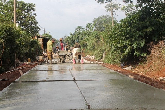 Dac Lac: ejemplo de movilización de fuerzas populares en construcción de nuevo campo - ảnh 1