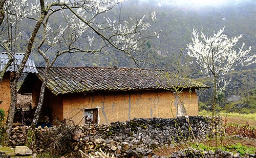 Singulares casas de los Mong hoa - ảnh 3