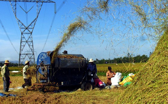 Movilización popular una medida eficaz en Thanh Hoa - ảnh 2