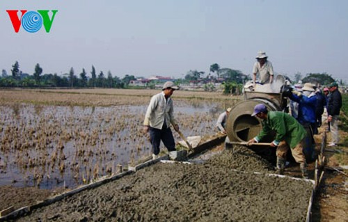 Fuerza comunitaria: determinante en nuevo campo en Nam Dinh - ảnh 1