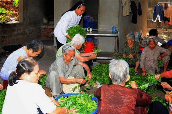 Hogar de acogida para las ancianas necesitadas  - ảnh 3