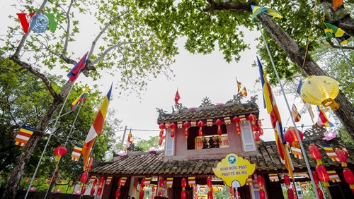 Procesión de Buda en Hue para pedir paz y prosperidad en el mundo - ảnh 3