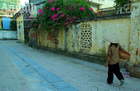 Preservación cultural aldeana en la construcción de nueva área rural  - ảnh 1