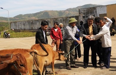 165 millones de dólares para combatir la pobreza en la Meseta Occidental - ảnh 1